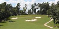 Mount Vintage Golf Club Review