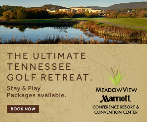 Cattails at MeadowView Golf Course